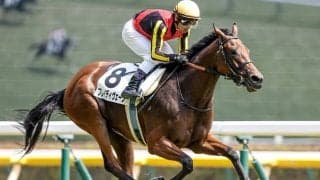 【エリザベス女王杯・調教後馬体重】ブレイディヴェーグは456kg、ハーパーは488kg