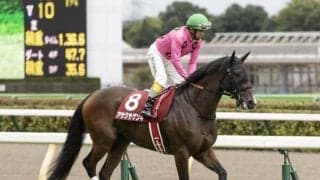 【京都JS出走馬・騎手確定】アサクサゲンキ＆小牧加矢太騎手、ダイシンクローバー＆高田潤騎手など12頭