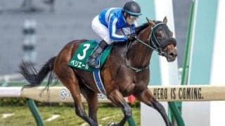 【武蔵野S出走馬・騎手確定】ペリエール＆C.ルメール騎手、ドライスタウト＆横山武史騎手など16頭