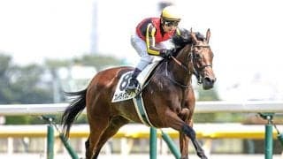 エリザベス女王杯はキングマンボ系の鬼門？ 4頭出しで初制覇を狙う