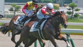 母はカナダ年度代表馬 新馬戦ノーステッキ快勝の良血馬がデイリー杯2歳S参戦
