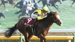 【アルゼンチン共和国杯】ゼッフィーロが人気に応える…重賞初制覇