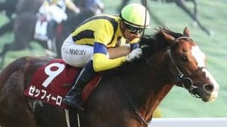 【アルゼンチン共和国杯】モレイラ「リズム良く運べた」ゼッフィーロが人気に応える