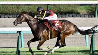 【エリザベス女王杯】出走馬の調教後の馬体重