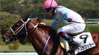 大活躍中のスワーヴリチャード産駒に要注目 デイリー杯2歳Sにも1頭参戦