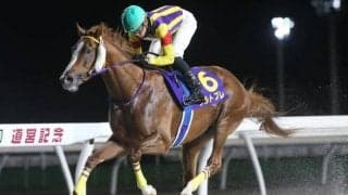 【門別・道営記念結果】シルトプレが押し切って重賞6勝目 6頭が競走中止のアクシデント