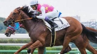 アメリカンファラオ産駒のJRA芝重賞初Vへ デイリー杯2歳Sにレースセンス一級品の“大物候補”参戦