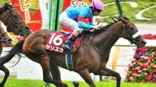 国枝栄厩舎が史上初の“牝馬限定GI完全制覇”に挑戦 サリエラでエリザベス女王杯初制覇狙う