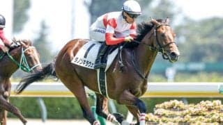 【デイリー杯2歳S枠順確定】ダノンキラウェアは4枠4番、フルレゾンは7枠8番