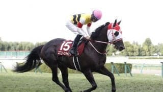 【福島記念枠順確定】シルトホルンは3枠5番、ユニコーンライオンは8枠16番