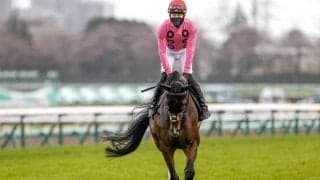 【京都JS枠順確定】アサクサゲンキは7枠9番、ダイシンクローバーは5枠5番