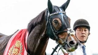 エリザベス女王杯15頭の“香港馬名”を紹介『神姫』や『麗彩帶』はどの馬？