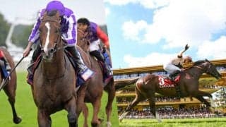 ジャパンCに外国馬2頭の出走決定 ハーツクライ産駒のコンティニュアスと仏G1・2勝のイレジン