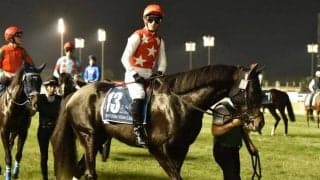 【武蔵野S予想】初ダートとなるステラヴェローチェの好走は？ 芝レース経由に黄色信号