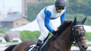 東京芝は速い上がりを出したもの勝ち 3場の馬場情報と好走期待馬