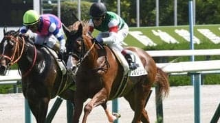 【デイリー杯2歳S予想】なぜ牡馬が圧倒？ 牝馬が活躍できない最大の要因