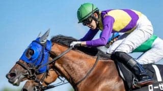 助手時代にファレノプシス担当の清水久詞調教師 縁のある血統で“23年ぶりV”なるか