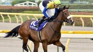 アパパネ＆アカイトリノムスメに続け！ 金子オーナーが誇る超良血馬がデビュー