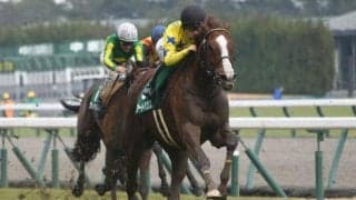 エリザベス女王杯は4年ぶりの京都でどう変わる？ 読み解くカギは“ペース”の違い