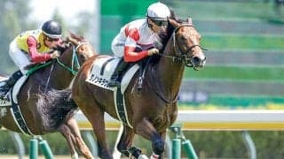 【今日の注目ポイント】デイリー杯2歳Sなど3重賞 高田騎手の復帰、熊沢騎手の引退など