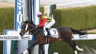 【京都JS予想】3年ぶりに京都開催 名物バンケット障害など飛越のリズムとセンスが鍵