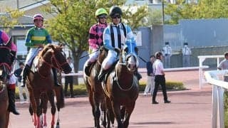 【武蔵野S予想】師走の中京への切符をかけた一戦 コース適性とキャリアが物をいう