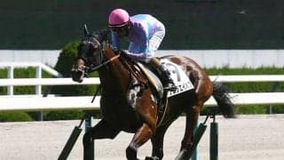 【デイリー杯2歳S予想】スピードと瞬発力が求められる2歳GI前哨戦 本番に弾みをつけるのはどの馬か