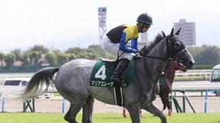 エリザベス女王杯は外国人騎手の独壇場も、ＧＩ勝利を渇望する関東トップ騎手の「意外性」に期待