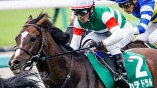 【武蔵野S予想】連対率100％の絶好ローテ 3度目のダートで激変あるぞ
