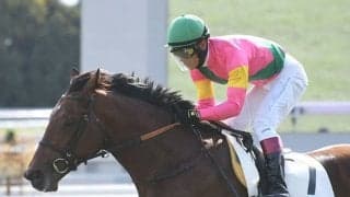 【京都5R新馬戦結果】米加でG1・4勝オスカーパフォーマンス産駒のオスカーブレーヴが逃げ切りV！