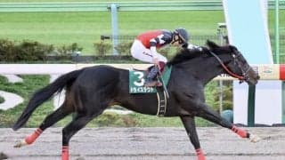 【武蔵野S】ドライスタウトが鮮やかな差し切り…重賞連勝