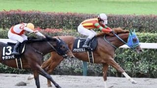 【オキザリス賞】3連単155万超え…ダート初参戦のノヴァエクスプレスが快勝