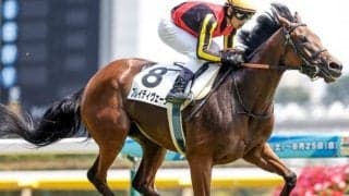 【エリザベス女王杯予想】4年ぶり淀での女王決定戦！ 好走のカギを握る前走4角の位置取り