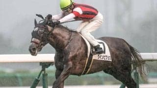 【福島記念予想】実力のバロメーターは前走人気!? 大敗からの巻き返しに警戒したいハンデ戦