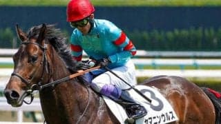 新馬4.3秒差、2戦目6馬身V 砂の大物候補が日曜京都で復帰戦