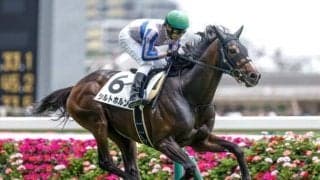 【福島記念前日オッズ】シルトホルンが5.6倍で1番人気