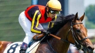 【エリザベス女王杯前日オッズ】ブレイディヴェーグが2.4倍で1番人気