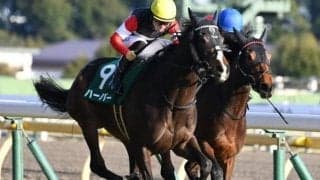 エリザベス女王杯は好位インが絶好位か 3番ハーパーの出番だ