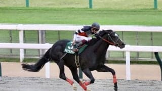 【武蔵野S】横山武「先が楽しみ」ドライスタウトが重賞3勝目