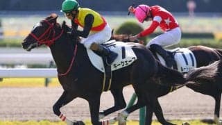 【新馬/京都4R】ミッキーロケット産駒 伏兵キーウェーブが抜け出す