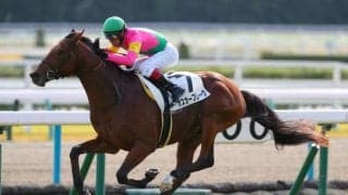 【新馬/京都5R】オスカーブレーヴが逃げ切る…良血クイーンズウォークは2着