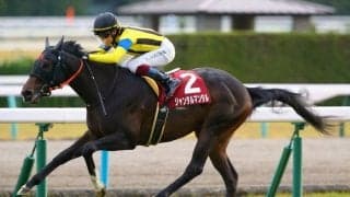 【デイリー杯2歳S】ジャンタルマンタルがデビュー2連勝