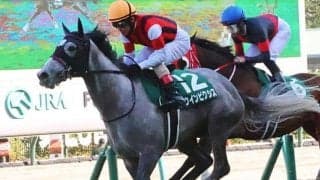 【福島記念予想】秋の福島はステイゴールド系の天下 ここはゴールドシップ産駒を狙う