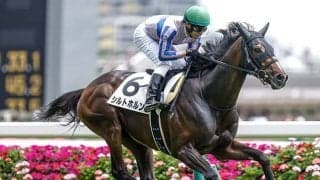 【福島記念予想】秋の福島名物のハンデ戦 小回りコース故に操作性と機動力が勝敗を分ける