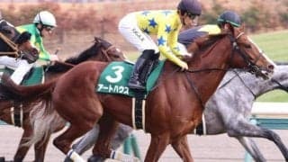 【エリザベス女王杯予想】休み明けは大得意  展開利も味方に粘り込む