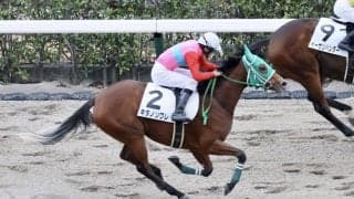 【新馬/東京4R】トゥザワールド産駒 キタノソワレがデビュー勝ち