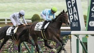 【新馬/東京5R】外国産ノーブルロジャーが人気に応える