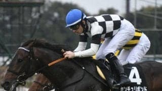 【黄菊賞結果】センチュリボンドが追い比べを制して2連勝