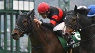 【JRA・WIN5】本日のWIN5は的中27票、配当1646万8660円