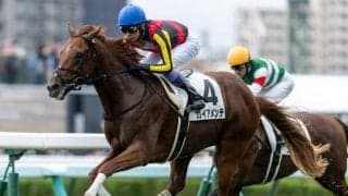 【東スポ杯2歳S】ガイアメンテ、シュトラウスらが登録